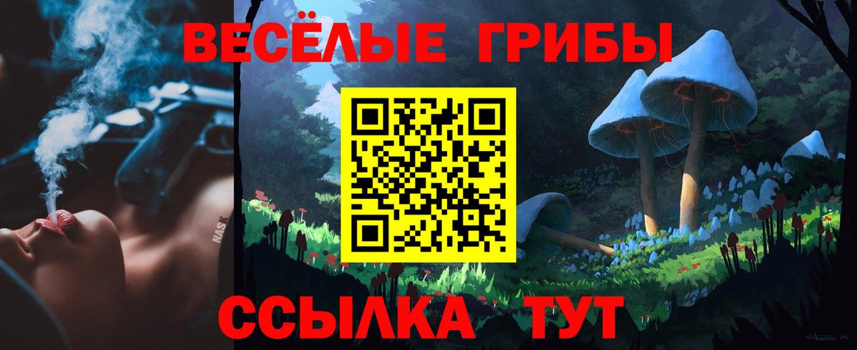 Псилоцибиновые грибы прущие грибы  Вход с VPN  Отрадный  Галлюциногенные грибы GOLDEN TEACHER 