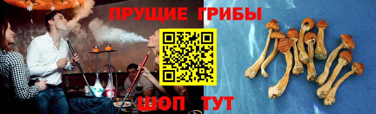 Псилоцибиновые грибы мухоморы Отрадный